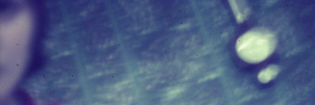 adrianpascoe's profile banner image