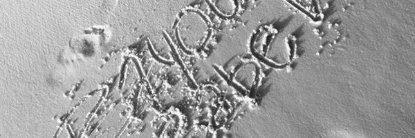 AlyssaKP11 Profile Banner