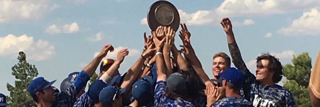 WNC Baseball banner