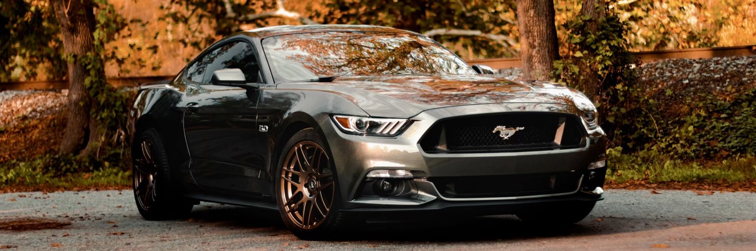 Matt Rosenberger banner