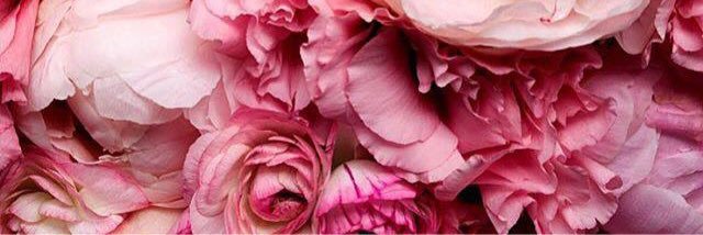 Natty_Noox's profile banner image
