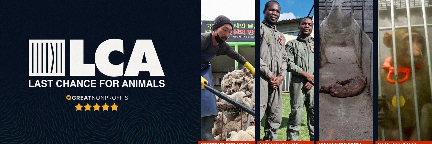 Last Chance for Animals banner