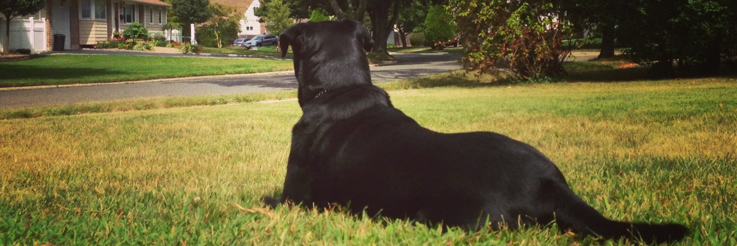 Ben_Abrams_'s profile banner image