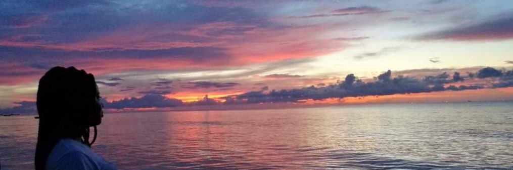 caroldeseil's profile banner image