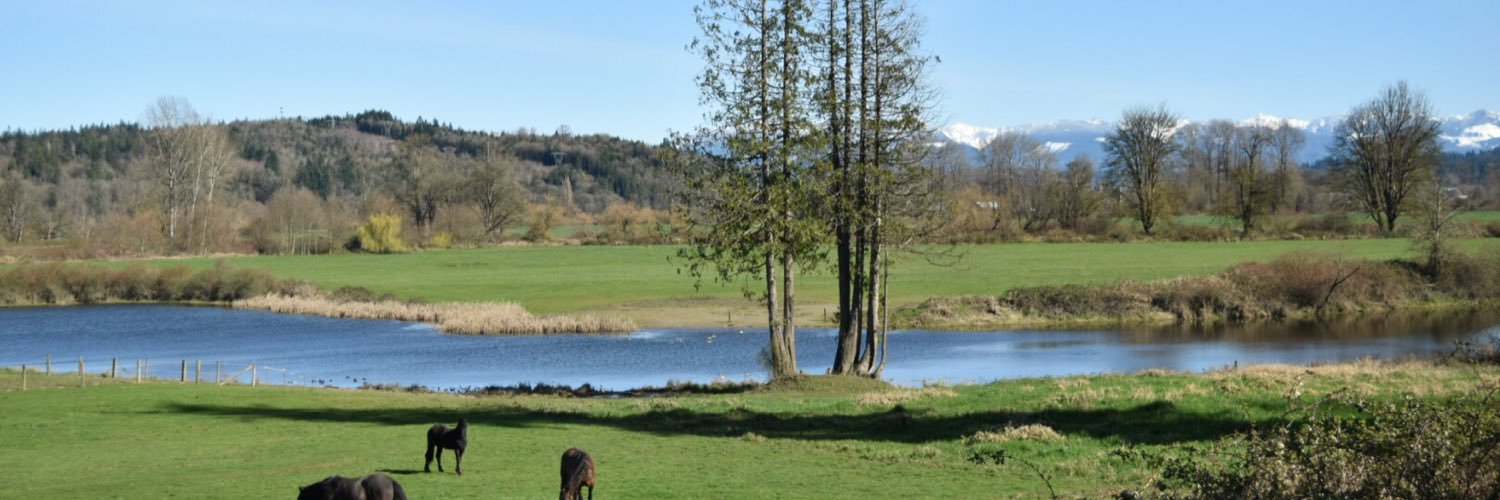 Emilie Pollack banner