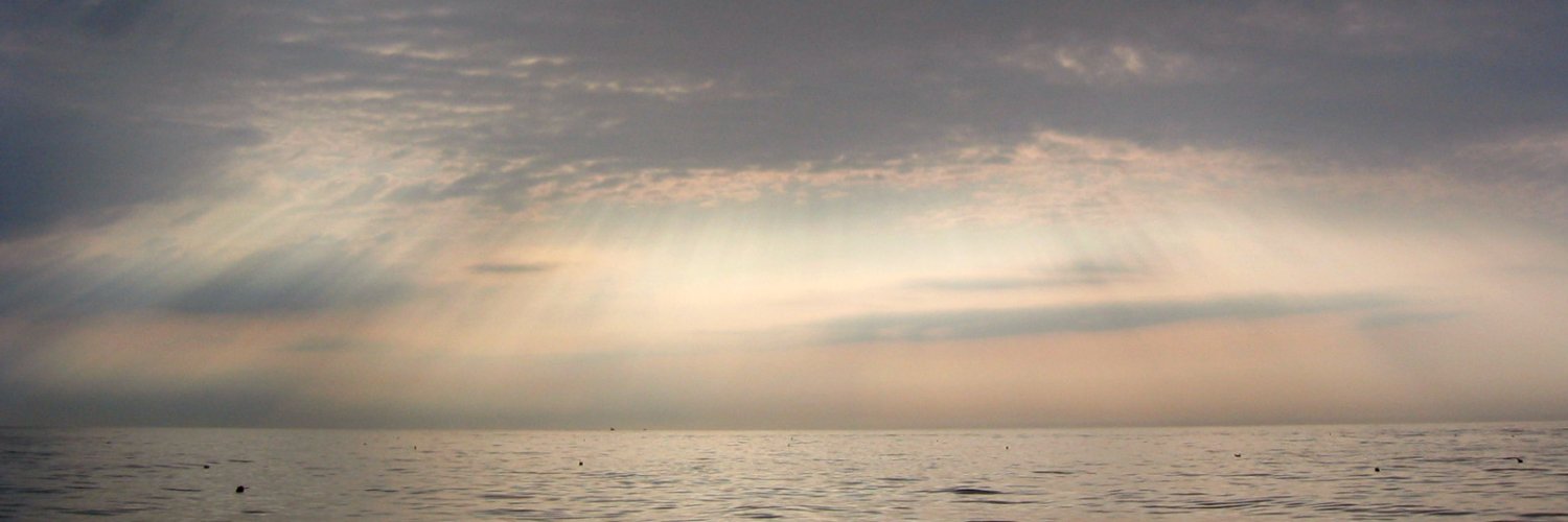 adelegb's profile banner image