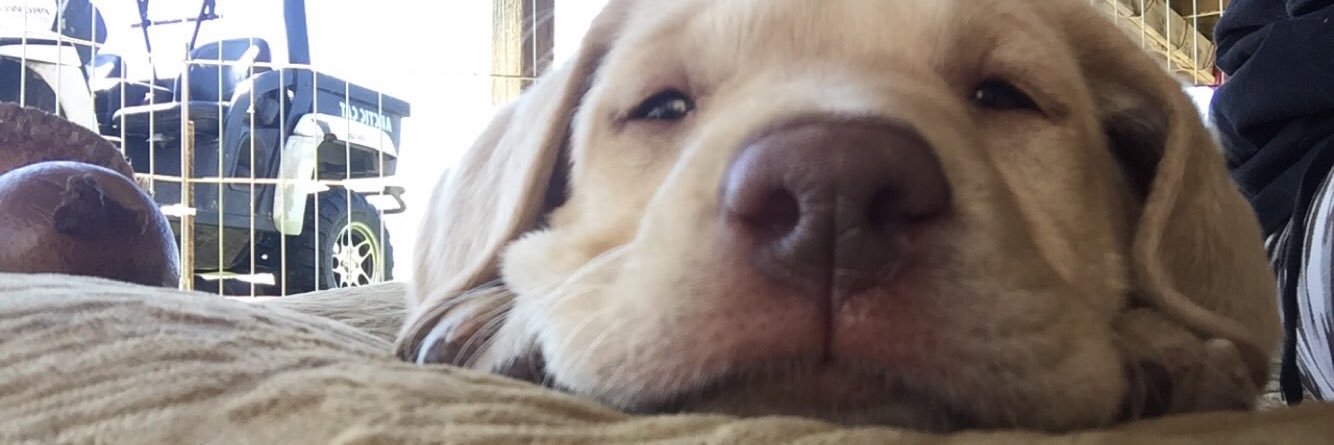 NicoleMac65's profile banner image