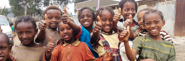 Lelt Foundation banner