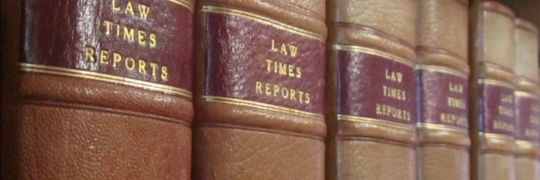 Stephanie Street-Lomas (Blue Tick) banner