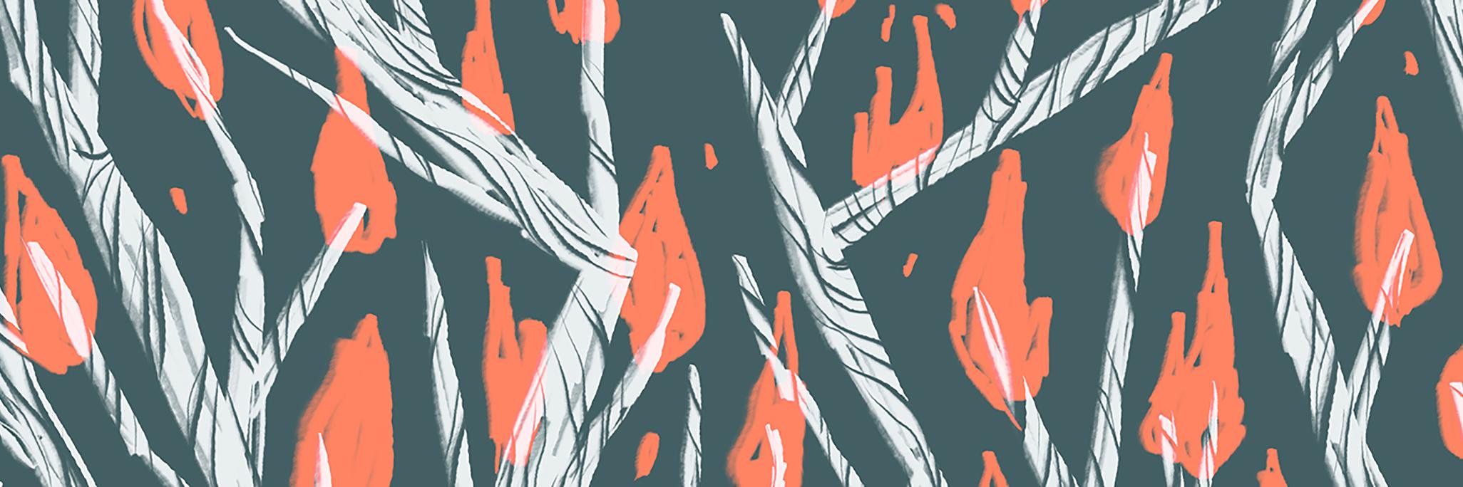 alliedoersch's profile banner image