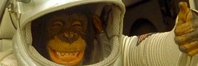 AK - 🦷🫀🗡️/🥀🌙/🕷💜 banner