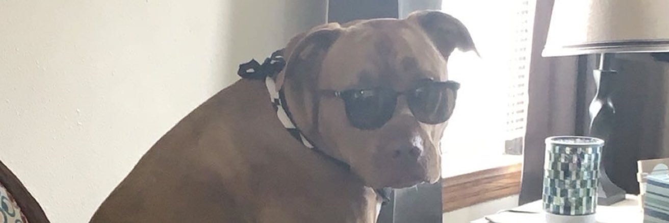 bugxface's profile banner image