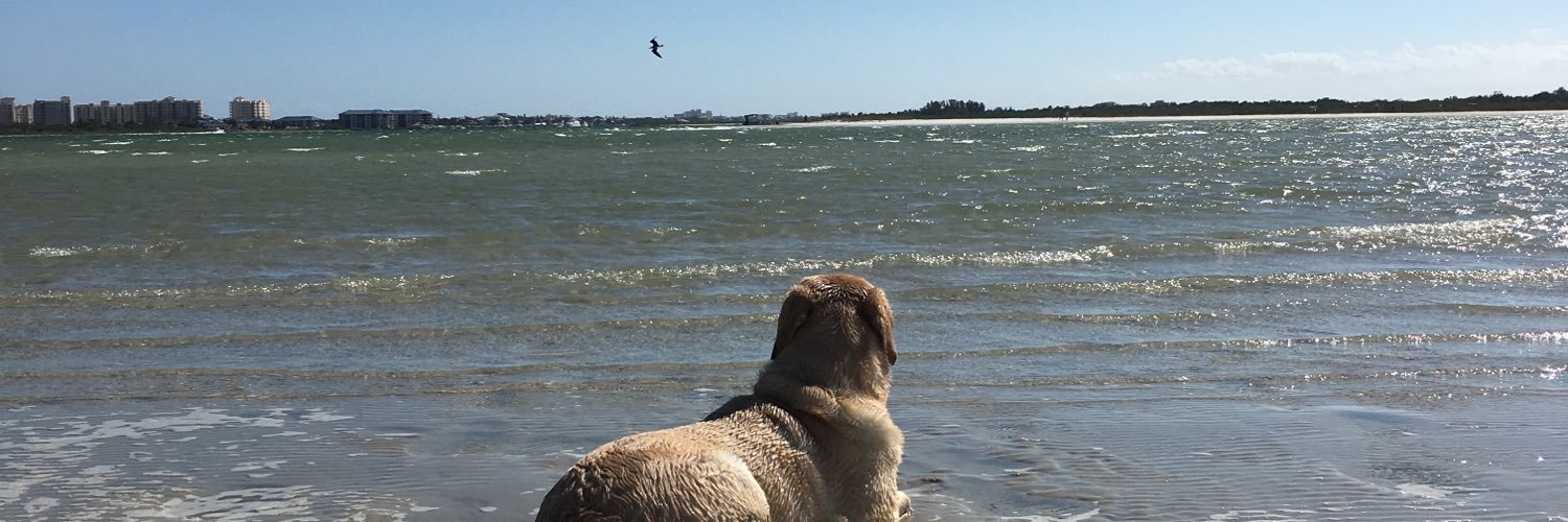 MattMarconi11's profile banner image