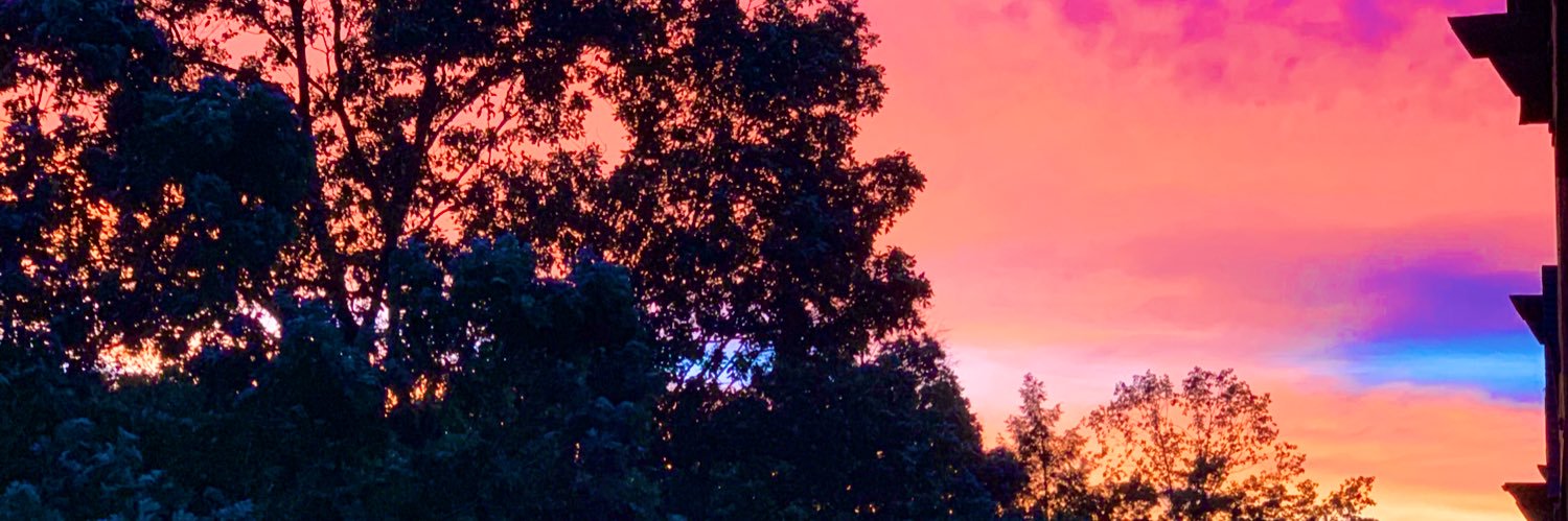 Sarah Reckenwald banner