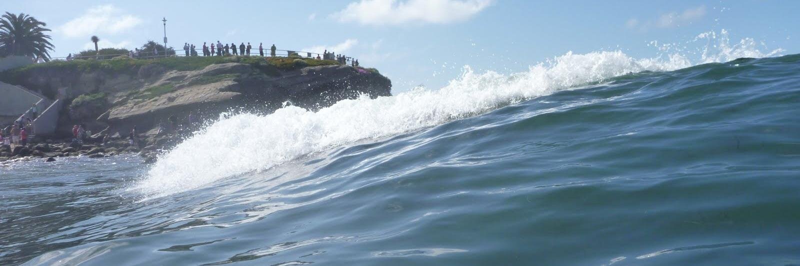 Christopher Foster banner