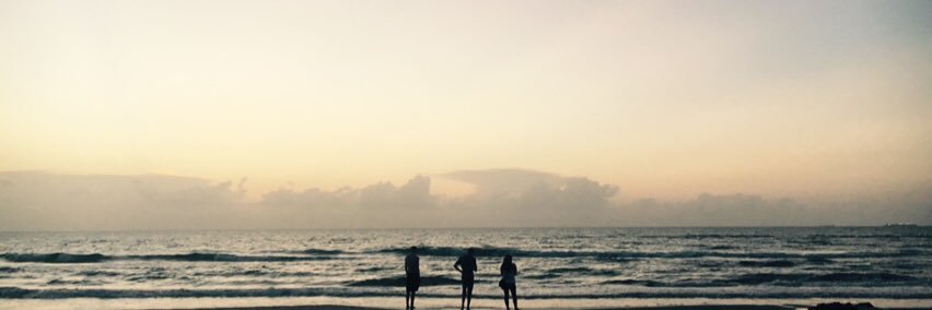 NotTrashii's profile banner image