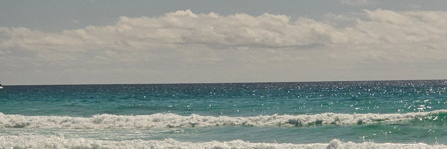 farwitt's profile banner image