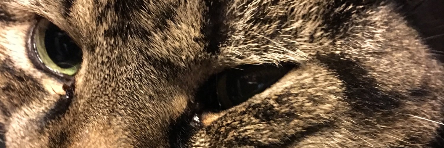 mimimarimi's profile banner image
