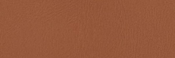 hackernodeapp Profile Banner