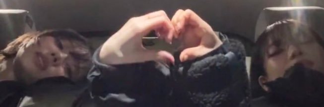 雪豆Shadow🔍 banner