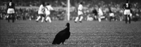 🏆🏆fellipe🏆🏆 banner