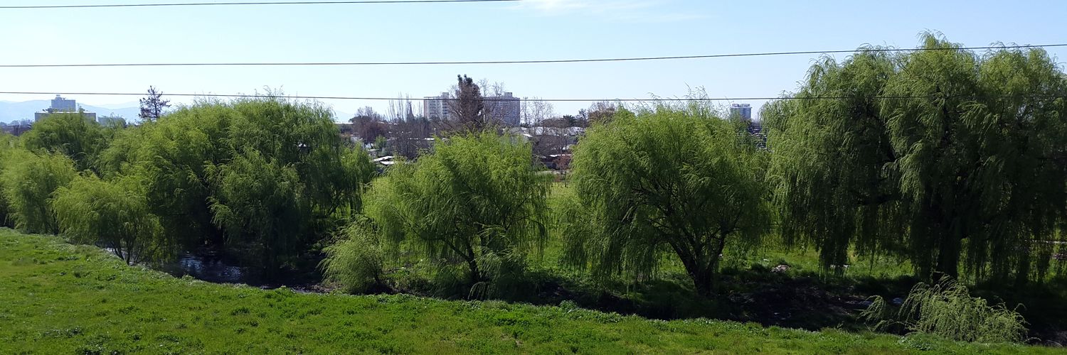 Lino Arévalo banner