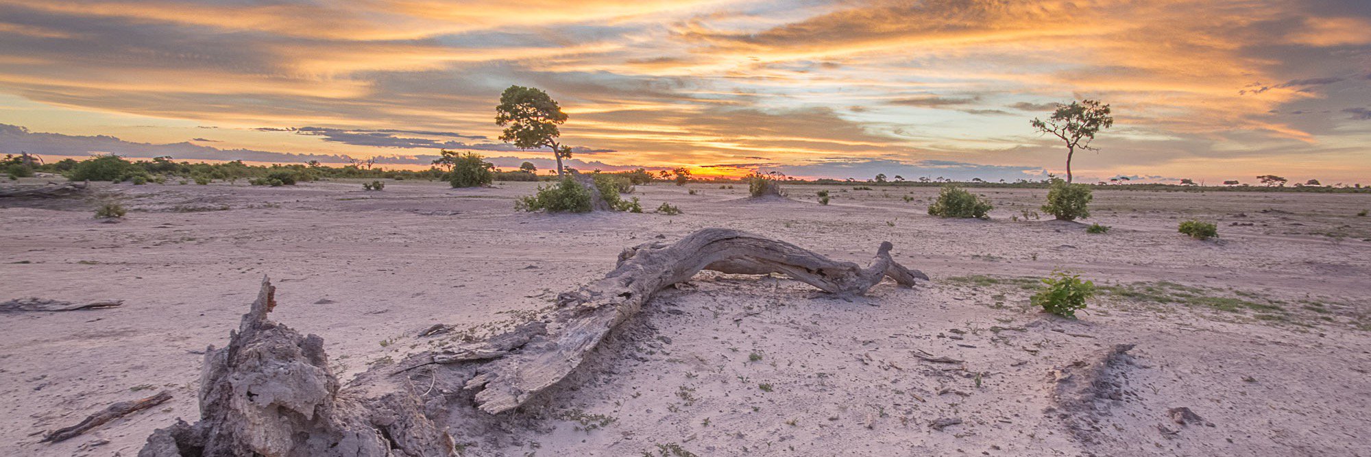 Stuart Parker banner