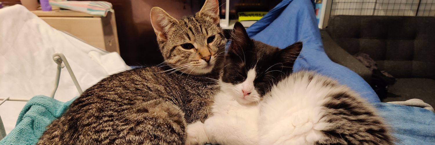 Nat ✨🇵🇸🍉 banner