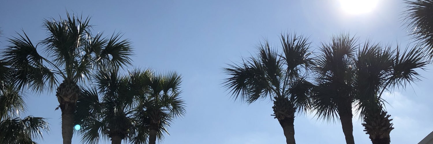 MirandaHauck's profile banner image