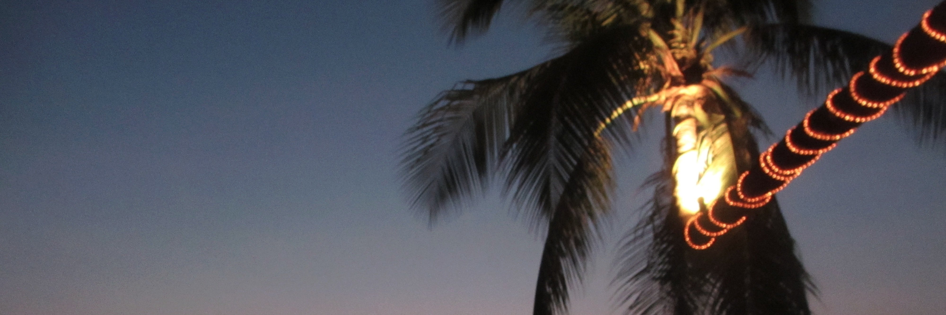 Faye Thompson banner