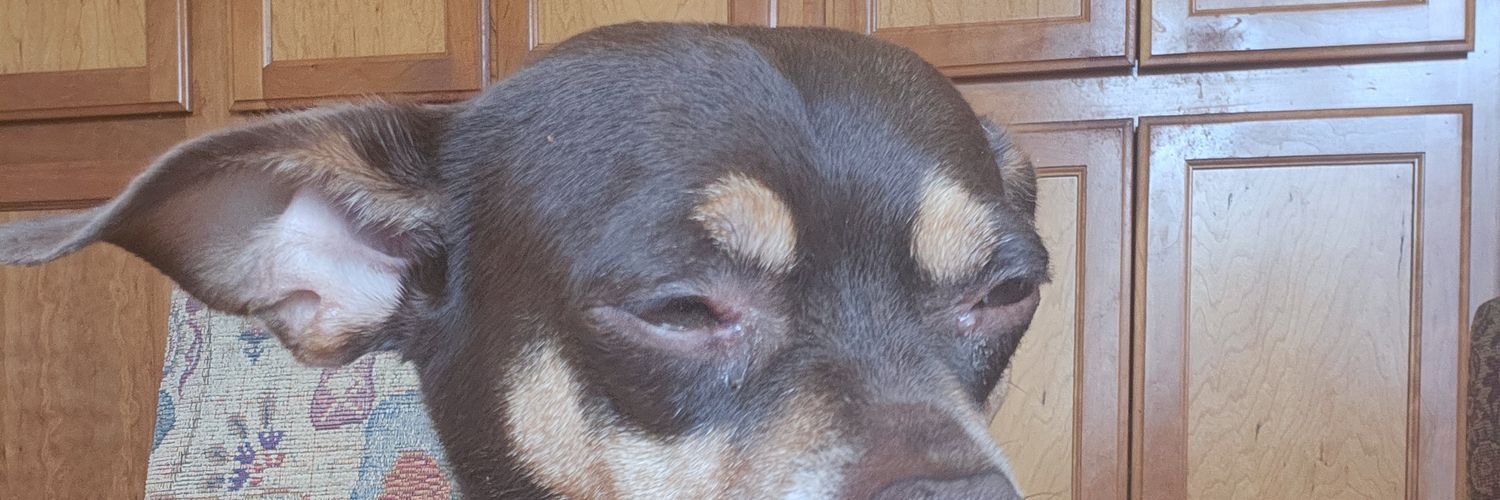 Buhbray's profile banner image