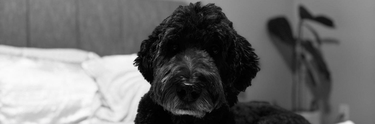 MirandaEmke's profile banner image