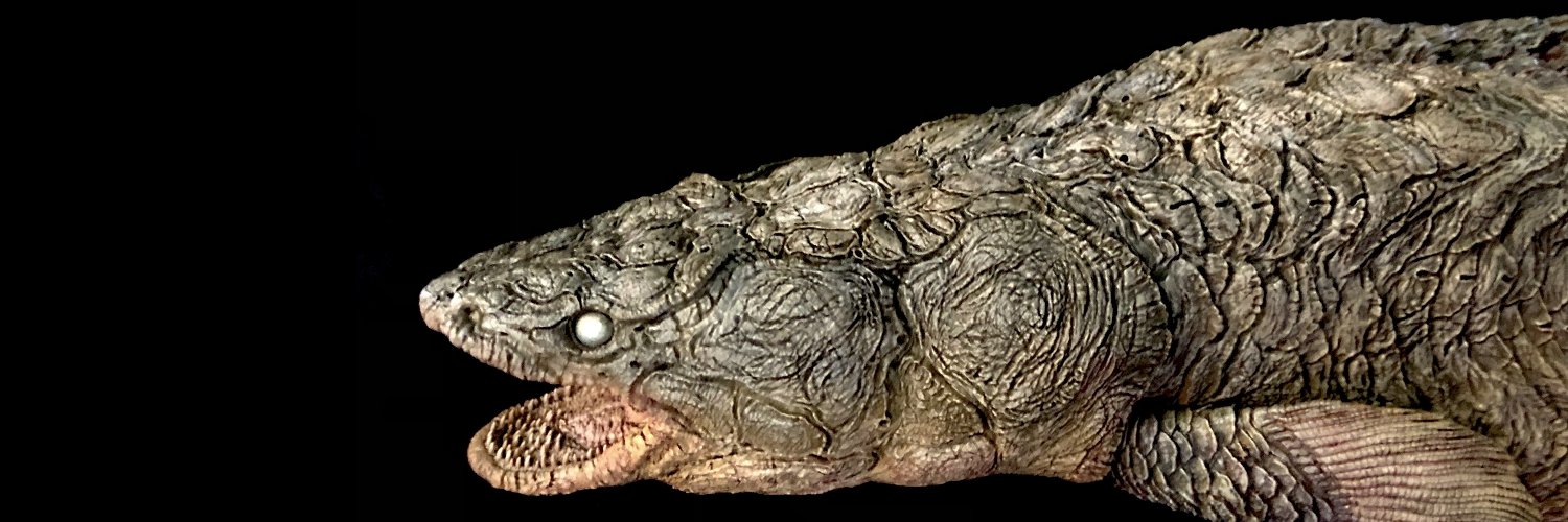 福田 浩史　WF5-30-08 banner