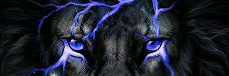 HarmonyLJay's profile banner image