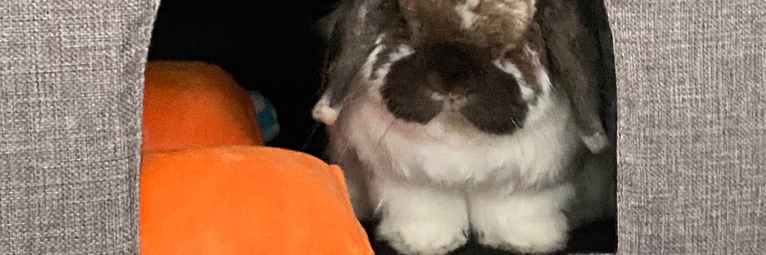 Leilanitho_'s profile banner image