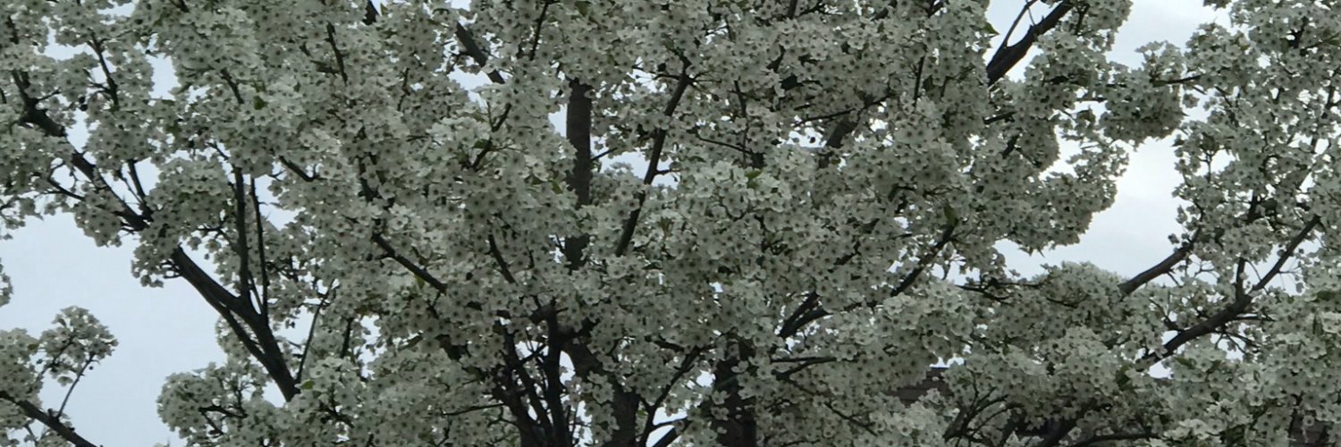 ChristyPD's profile banner image