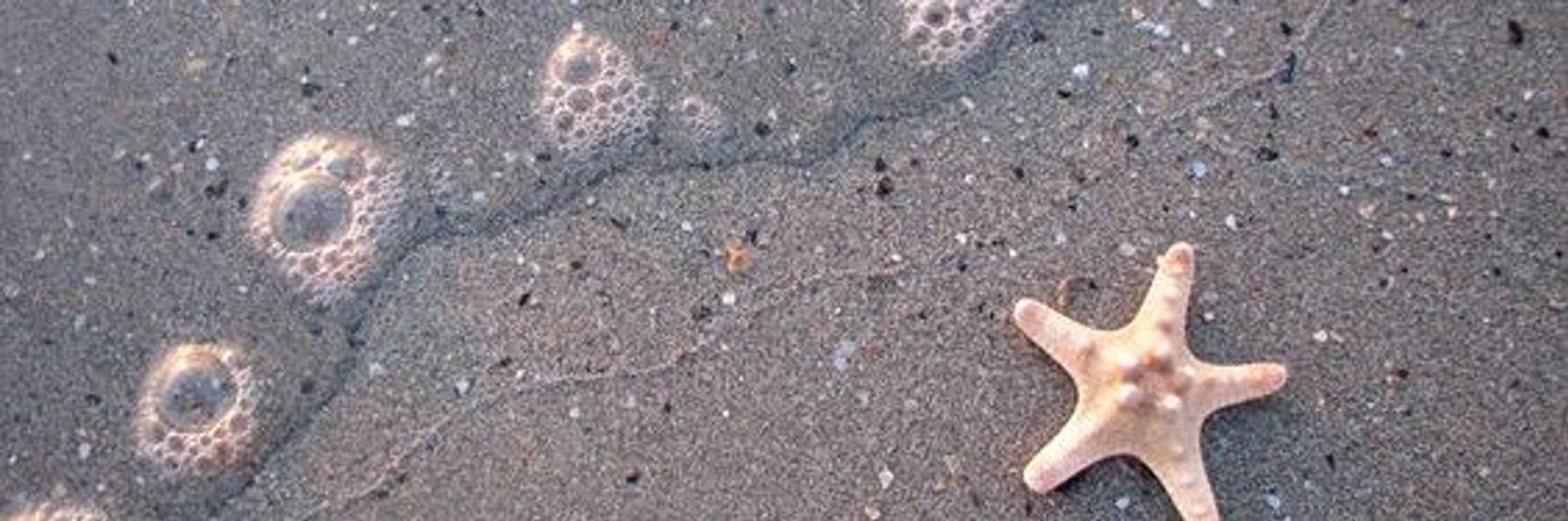 𝐌𝐢𝐥𝐥𝐚 🍒🛍️ banner