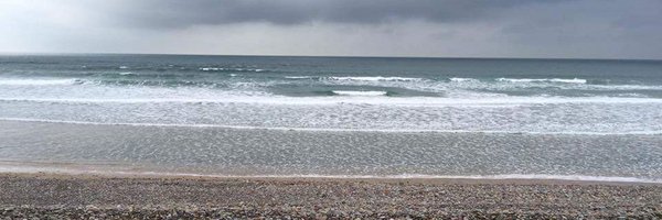 dreadedwitch Profile Banner