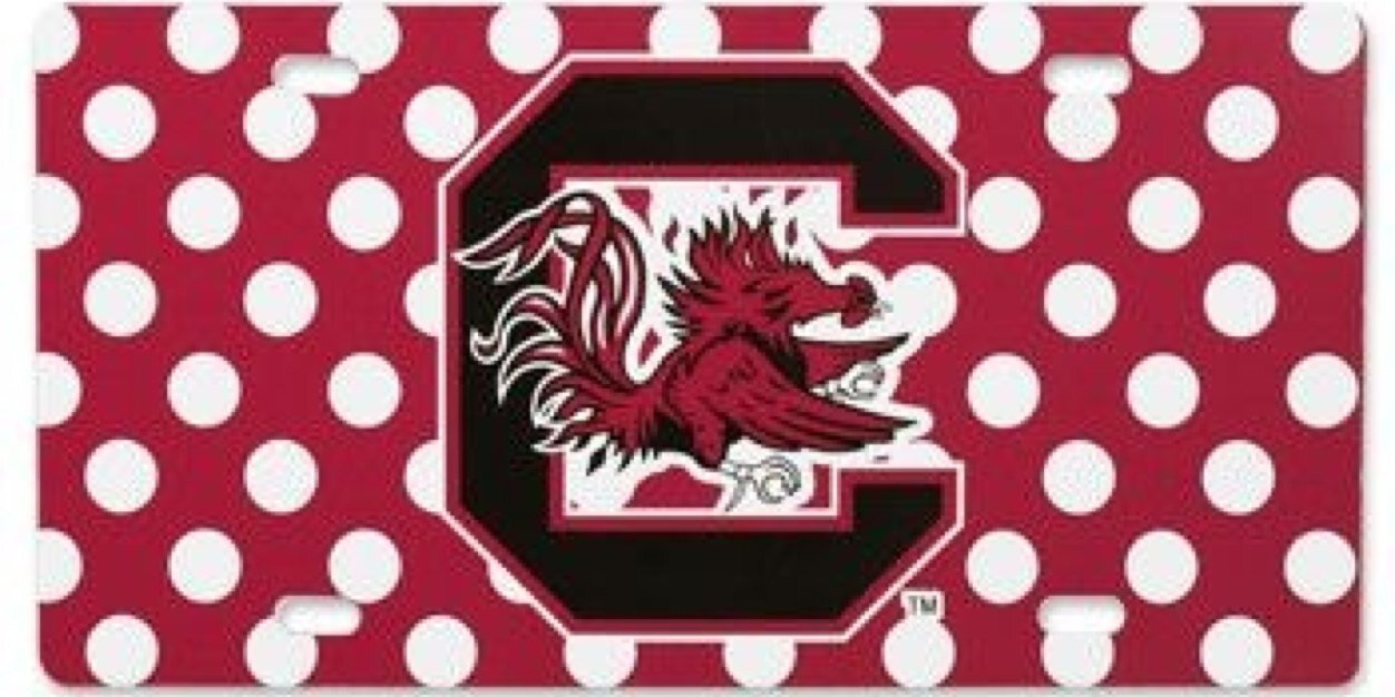 CockyGirlSC's profile banner image