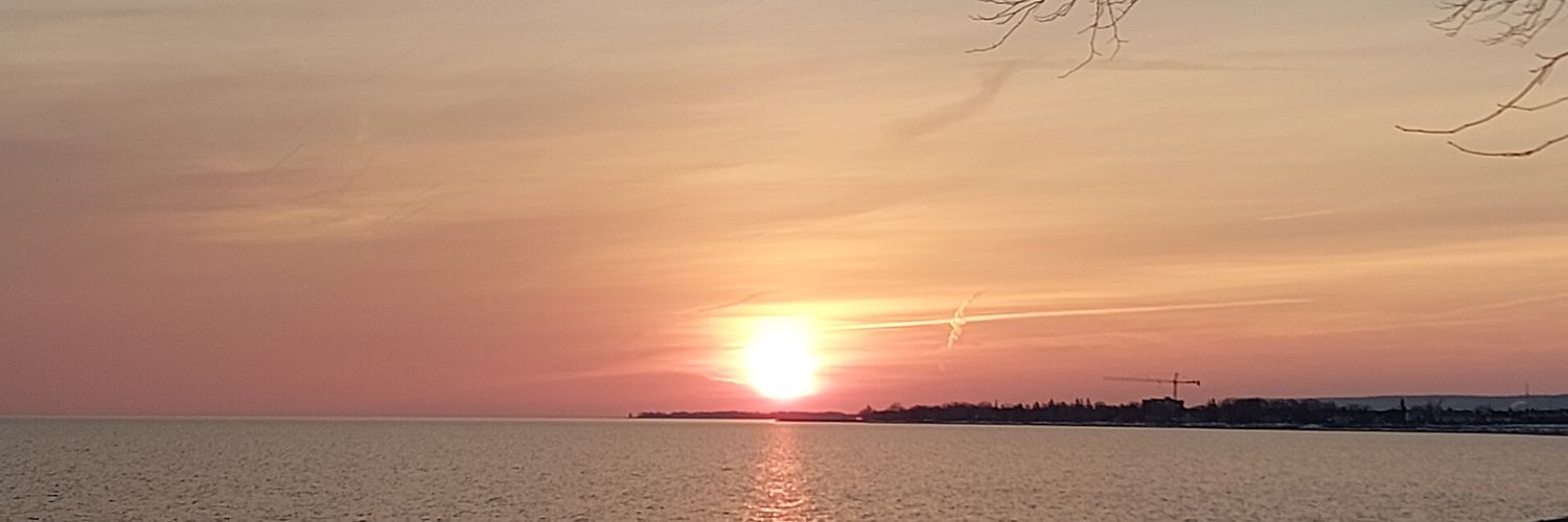 dfriesman's profile banner image