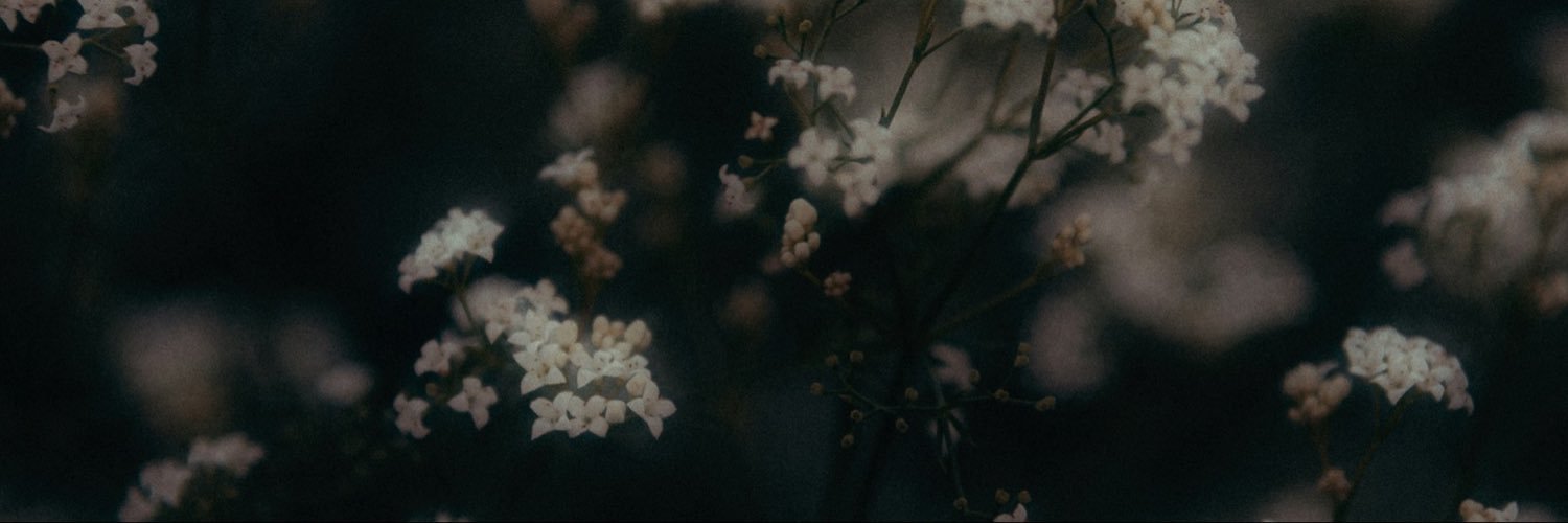 Padalinoo's profile banner image
