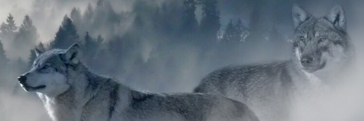 R_R_D2's profile banner image