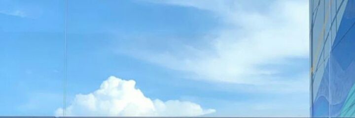 sg☮ banner