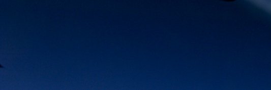 MirkovichAnna's profile banner image
