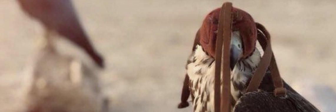 al_s_'s profile banner image