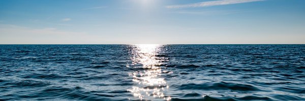 gaialeadership Profile Banner