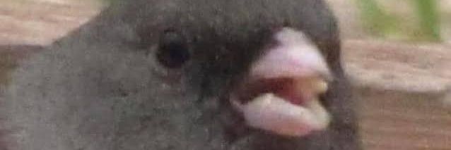soelkun's profile banner image