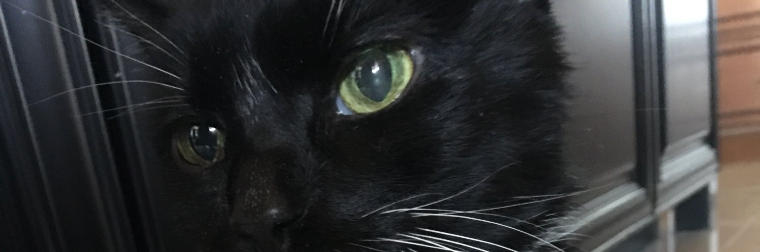 desertrival's profile banner image
