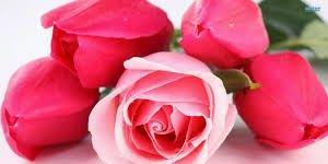 tami66ve's profile banner image
