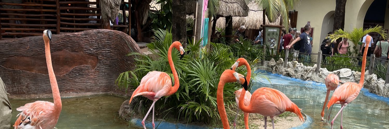 Angela McDaniel banner